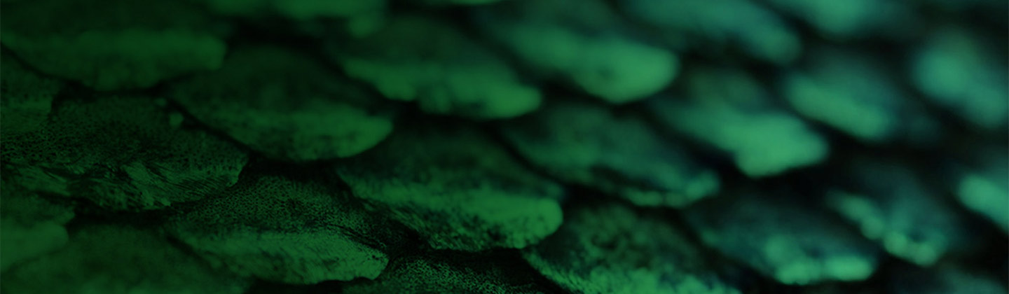 Master of Business Management specialising in Digital Enterprise